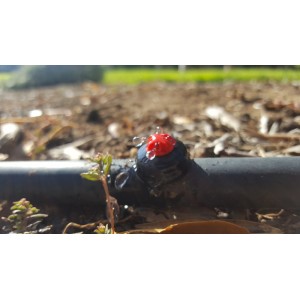 Goutteur NGE 2L/H avec clapet anti-vidange autonettoyant