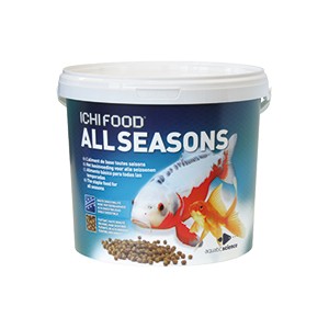 Ichi Food toutes saisons