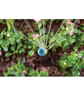 Buse MP Rotator HUNTER