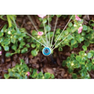 Buse MP Rotator HUNTER