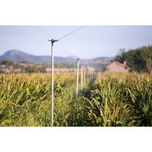 Canne alu 50 cm 1" x 3/4" MF